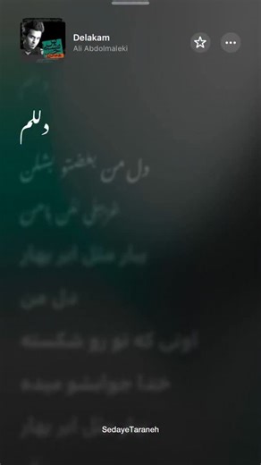‎Sedaye Taraneh | صدای ترانه‎ on Instagram: "Ali Abdolmaleki - Delakam | Official Audio"