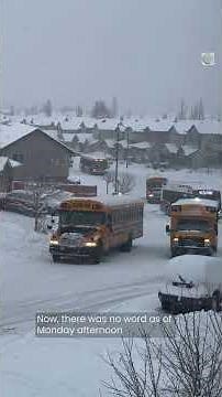 Late-November snowstorm disrupts Alberta travel | #shorts