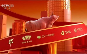 cctv1《新闻30分》前广告 20210211