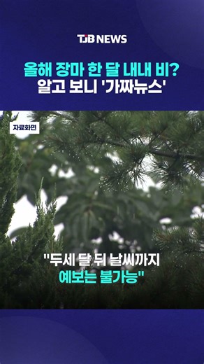 올해 장마 한 달 내내 비? 알고 보니 '가짜뉴스'｜ TJB 대전·세종·충남뉴스