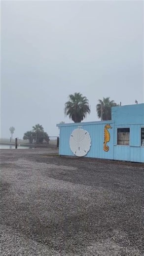 45 degrees this morning Low low wind today. High in the 60's. Y'all have a great day #rockporttexas