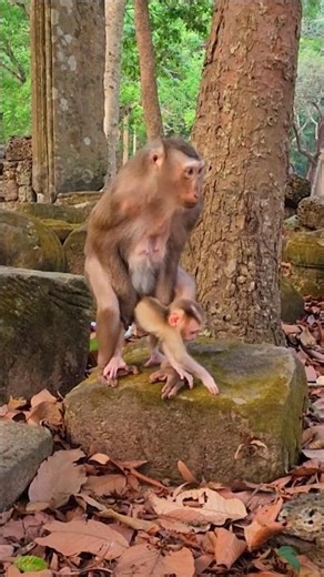 Amazing Auntie Julie Plays With Baby Levy