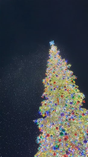 Christmas Eve with La Quinta magic 🎄✨ #laquintaresort #palmsprings #stayoriginal #christmas | La Quinta Resort & Club