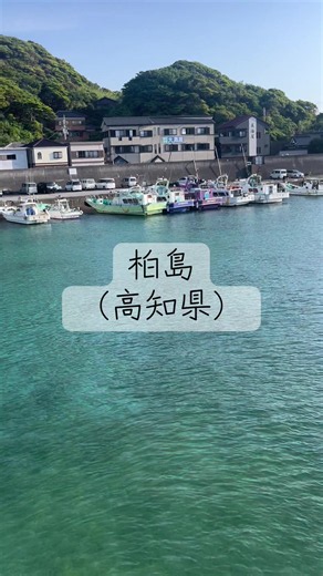 柏島の海が綺麗すぎる：高知で日本一美しい海を見つける方法