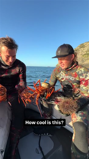 Enhanced Offshore Safety with One New Zealand Satellite