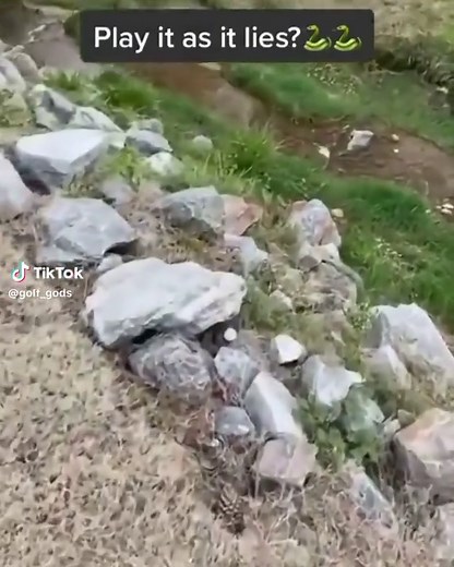 🐍 📹 - @golf.gram