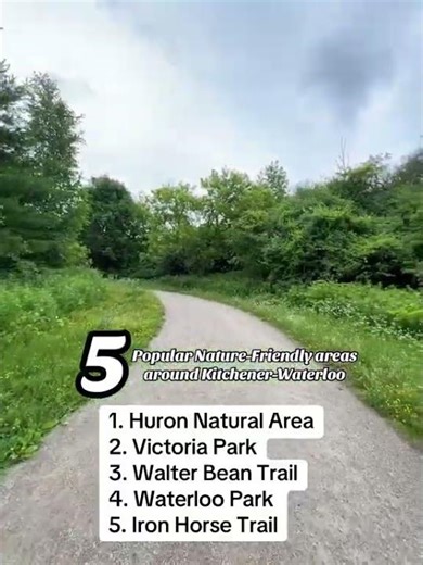 Top 5 Nature Spots in Kitchener-Waterloo You Need to See!