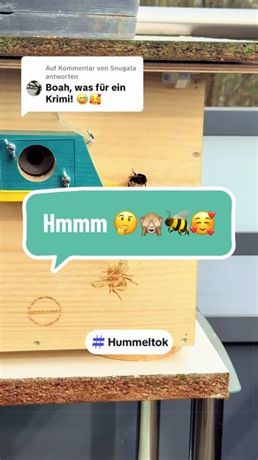 Hummeln und Kleine Haustiere: Eine Antwort auf @Snugata