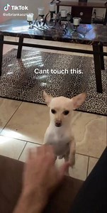 29K views · 1K reactions | Don’t u touch me | You Are Laughing | Facebook