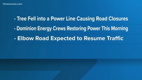 Elbow Road closed after fallen tree damages power lines causing outage