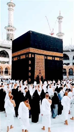 Islamic content and Education value related vodes beautiful nat trending Islamic vodes#