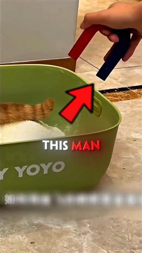 The Most Genius Cat Prank Ever 🙀🧲