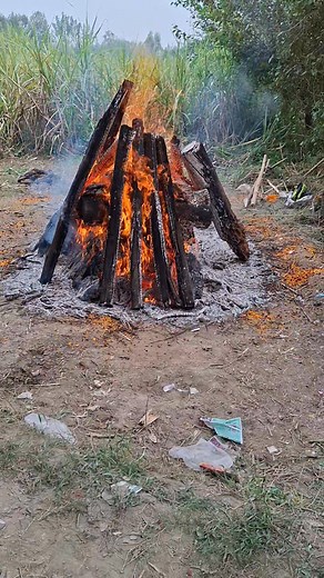 1K views · 4 comments | Satish Chandra Gaurav on Reels | Facebook