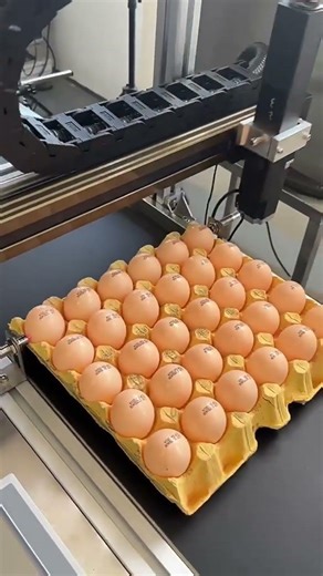 CIJ Egg printer, automatic egg making#egg #factoryproducts #machine