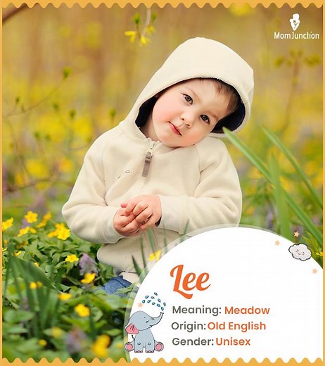 Lee Name Meaning: Complete Guide To Origin & Popularity In 2025
