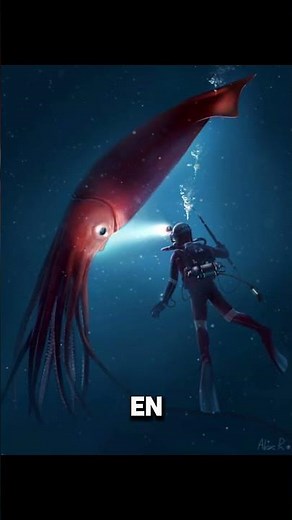 Cachalote vs calamar gigante (captado en video) 🦑