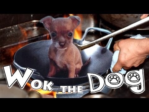 Dog Meat Eating Festival in China | China Uncensored
