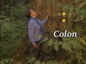 LESSON 7: Colon | Video from Marie | The Basic Cozy Punctuation Course