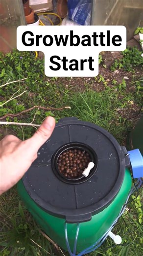 Mein Outdoor-DWC läuft zum ersten Mal