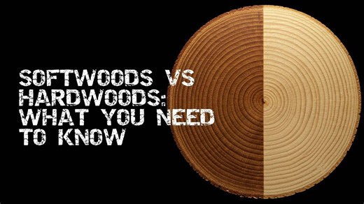 Hardwoods, Softwoods & the Janka Scale – What You Need to Know