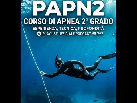 Apnea: Viaggio tra Fisiologia, Limiti e Sicurezza Sottomarina