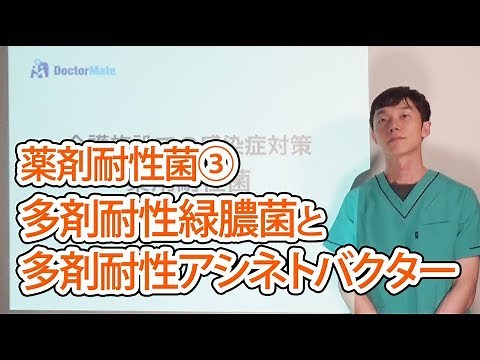 薬剤耐性菌③多剤耐性緑膿菌と多剤耐性アシネトバクター