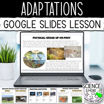 Plant, Animal Structural and Behavioral Adaptations (Google Slides Lesson)
