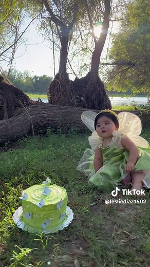 Cumplemes de 10 meses: Mi pequeña hada Tinkerbell 💚🧚✨