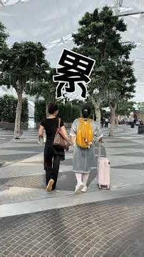 新加坡旅行必囤！暴走不累就它了！