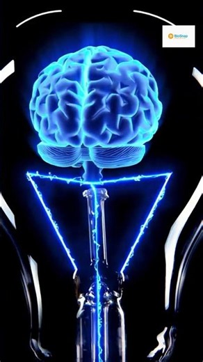 Why Your Brain Keeps Comparing Everything ✨