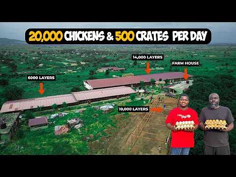 From 1,500 To 20,000 Chicken Farm - Inside Ghana's Fastest Rising Poultry Farm