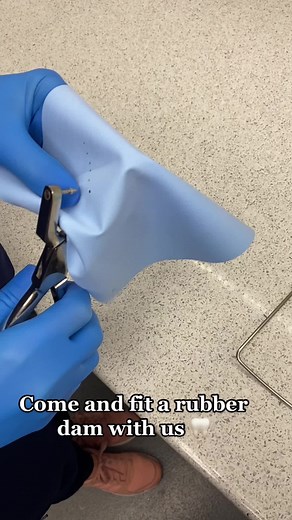 Rubber dams are used in dentistry for a few reasons. It is used to protect the patient’s airway and to isolate the tooth to prevent moisture and bacteria contaminating the tooth during procedures. We commonly use them for Root canal treatments, crown fits and composite restorations 🦷 #dentist #dentalsmileschelmsford #chelmsford #rubberdam #rootcanal #rootcanaltreatment #composite #brushin #dentalstudent #dentalnurse #dentalsmilesessex #smile #airway #moist #dentaltreatment #dreamteam #teamwork 