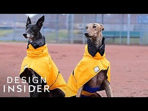 Dog Coats Are Designed To Fit All Different Breeds