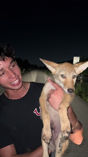 You never know what you’ll find out here in south Florida!, check iut ...