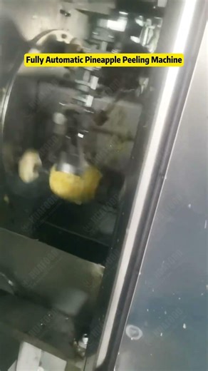 Automatic Pineapple Cutting and Peeling Machine