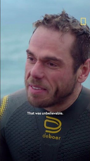 Shark vs. Ross Edgley