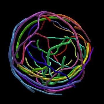 Meandering path tests