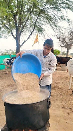 Desi formula to increase cow and buffalo milk production 💯#trending #cow #farming #dairyfarm #you...
