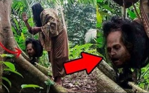 7个你永远也无法忘记的恐怖猎奇视频！