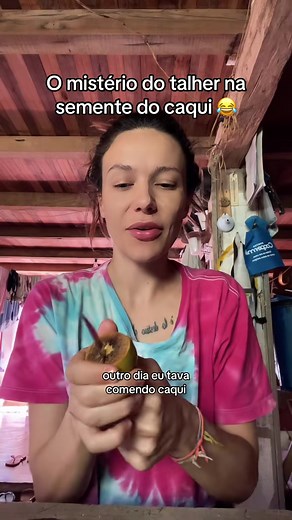 Descubra o que tem dentro da semente do caqui