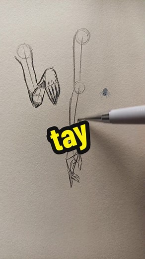 2 cách vẽ tay đơn giản