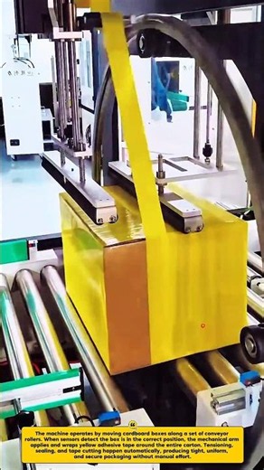 Automatic Carton Wrapping & Sealing Machine