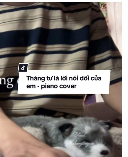 Tháng Tư Là Lời Nói Dối Của Em - Piano Cover