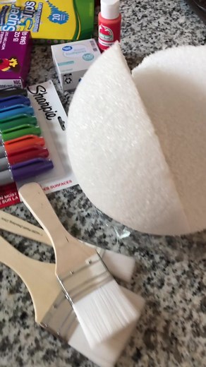 Science Projects!! It all started with a big BANG!!! 💥💥💥 #scienceproject #plantandanimalcells #schoolprojects