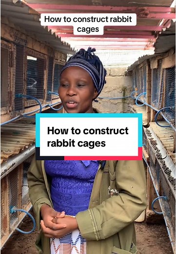 Constructing Rabbit Cages: A Complete Guide