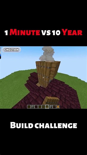 1 Minute vs 10 year build challenge