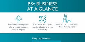 BSc Business  - BSc Business