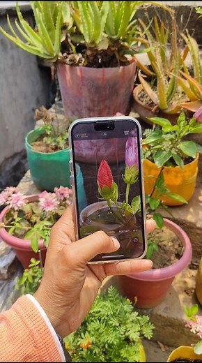 IPHONE 15⚡ Camera Test📸#iphone15 #iphone14 #iphone13 #iphone16 #trending #tech #viralshorts #viral