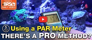 4.1K views · 43 reactions | How do you use a PAR meter? What's the...