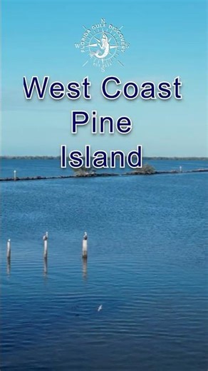 Around West Coast Pine Island Florida and Safe Harbor Pineland